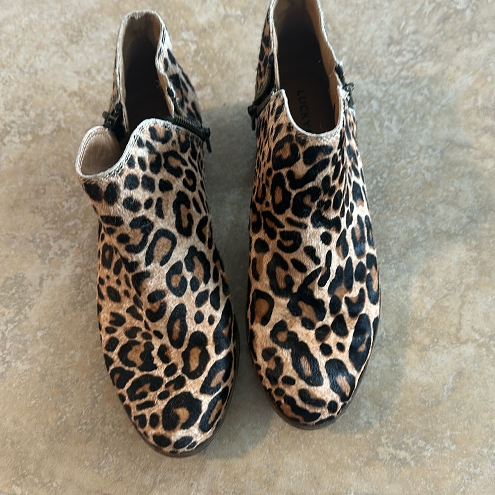 Lucky brand booties size 6.5